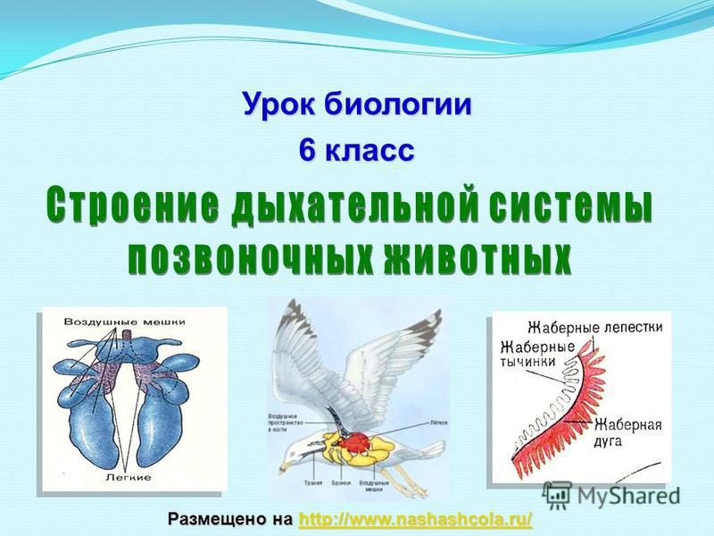 Регистрация на сайте кракен